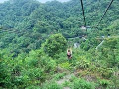 -南丹山森林王国
