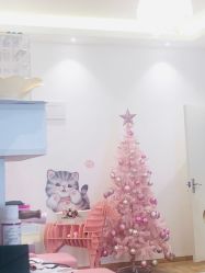 -Lab Season惜辰颜究社