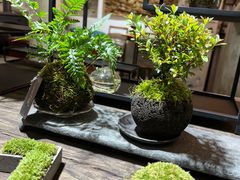 -植觉