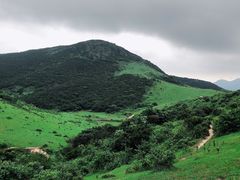 -大姆山草场