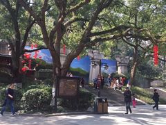 -西湖外事游船(花港观鱼码头)