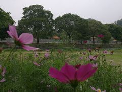 -红山村