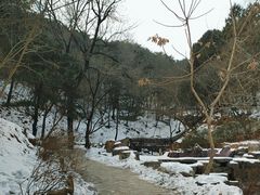 -北京西山国家森林公园