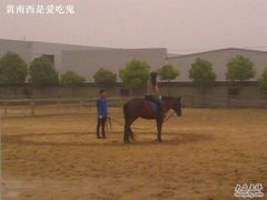 -松声马术俱乐部