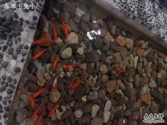 -东来顺饭庄(西直门店)
