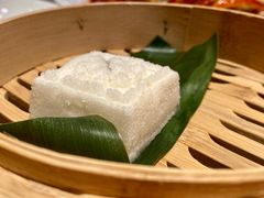 -洋洋中餐馆·SINCE 1997(龙湖星湖天街店)