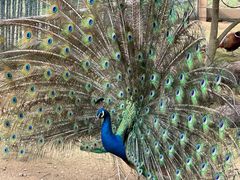 -新安江山水画廊风景区