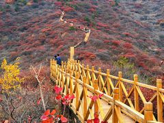 -水峪民俗村