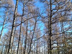 -白草畔自然风景区