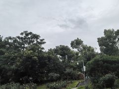 -东湖落雁景区