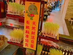 -洞仙锅(花园街店)