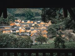 -杨家堂村