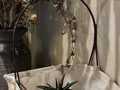 -熙阁咖啡Segnal(时代中心店)
