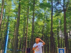 -塞罕坝国家级自然保护区