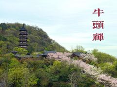 -牛首山文化旅游区