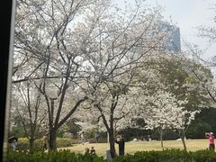 -虹之森·小馆