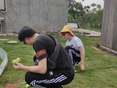 -南汇新场正宗水蜜桃采摘