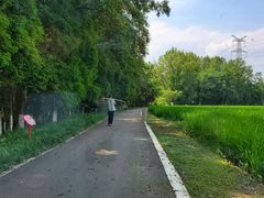 -桤木河湿地公园