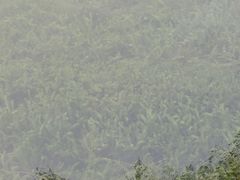 -什刹海
