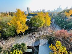 -南京城墙景区