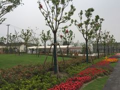 -菊园百果园