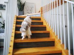 -隹木咖啡馆(宝龙广场店)