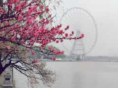 -桃源居(蠡园店)