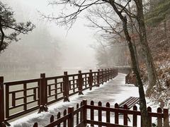 -洛阳白云山景区