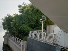 -海河游船-永乐码头(大悲院)