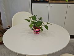 -益康盲人推拿按摩(长虹店)