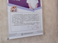 -宠爱国际动物医院· 猫科· 外科·中兽医(长白店)