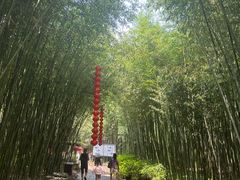 -竹泉村旅游度假区