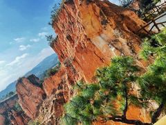 -彩色沙林风景区