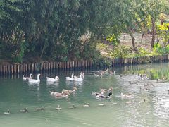 -丝绸小镇荻港古村