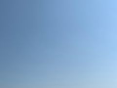-日照海滨国家森林公园