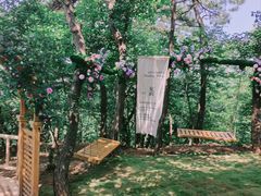 -沂蒙山旅游区云蒙景区(蒙山国家森林公园)