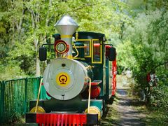 -上海共青森林公园