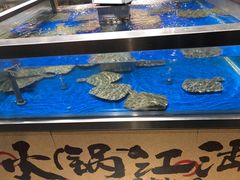-盒马鲜生(顺义店)