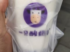 -一只酸奶牛(八一路店)
