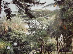 -荔香公园