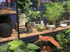 -弗劳尔花艺坊(龙涛店)