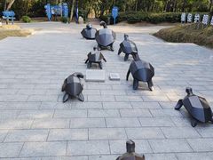 -广东惠东海龟国家级自然保护区