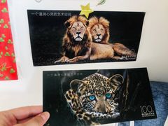 -罗红摄影艺术馆