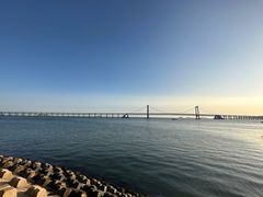 -星海广场