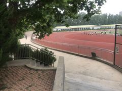 -山东外贸职业学院