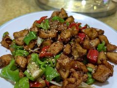 -煲来饱去冷水鱼