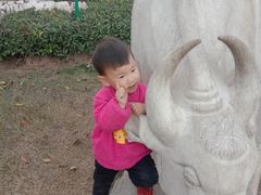 -象山森林公园