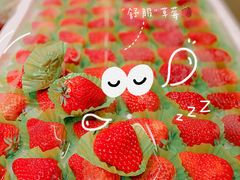 -T11生鲜超市(朝阳公园店)