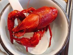 高压锅蒸大虾-蚝翅·海鲜粥·烧烤·宁夏滩羊季(玉米楼店)