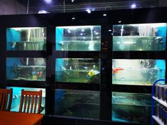 水产区-全乐鱼馆·淳牌有机鱼直营店